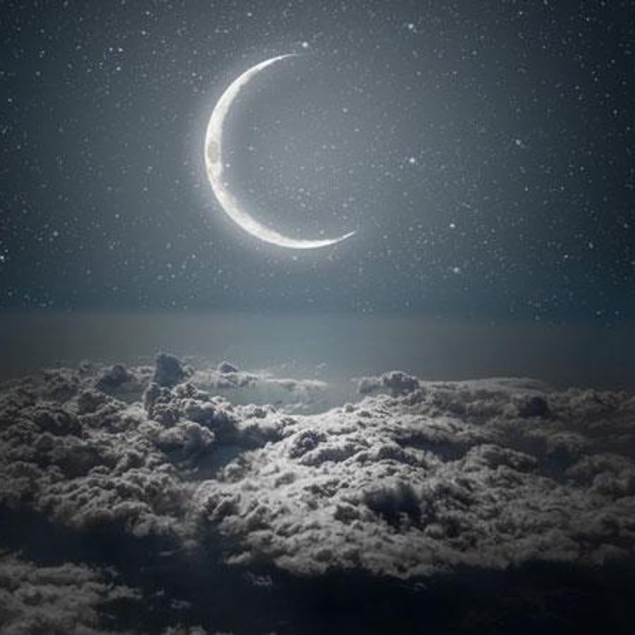 Кристина Макеева Лавандовые поля