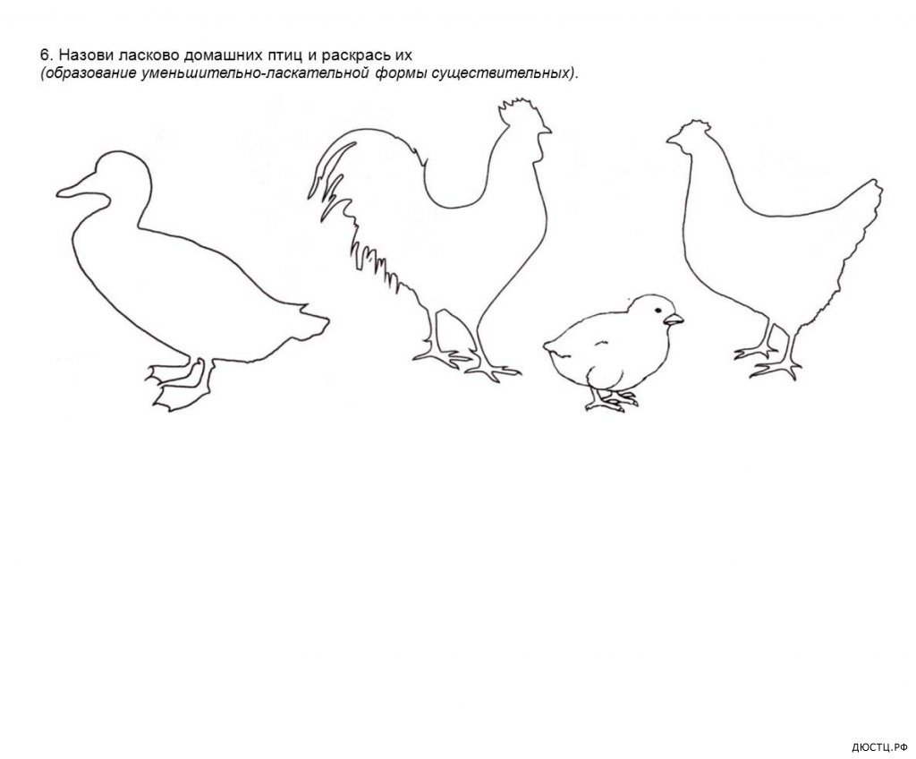 Домашние птицы и птенцы задания для дошкольников