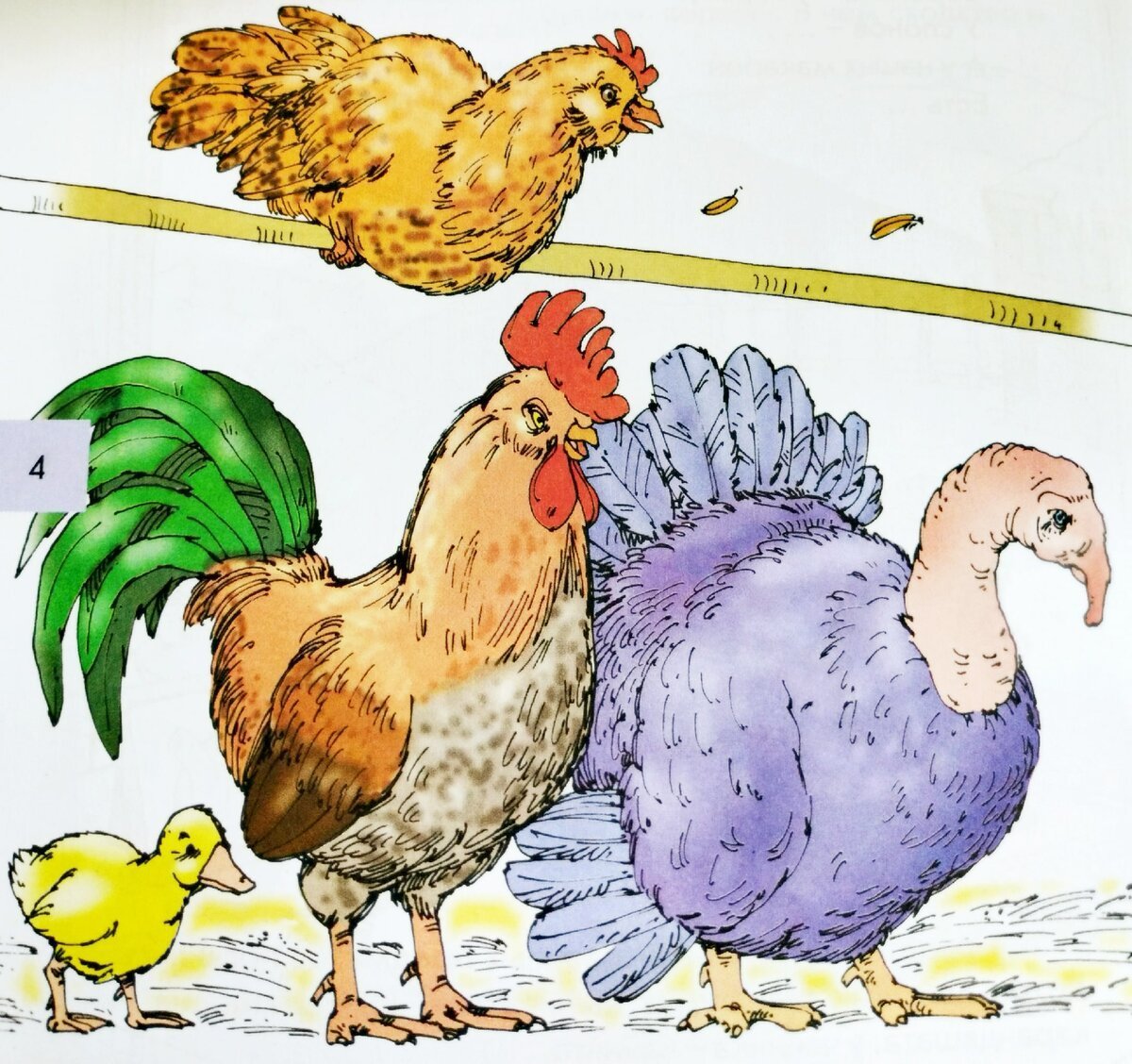 Домашние птицы семейства