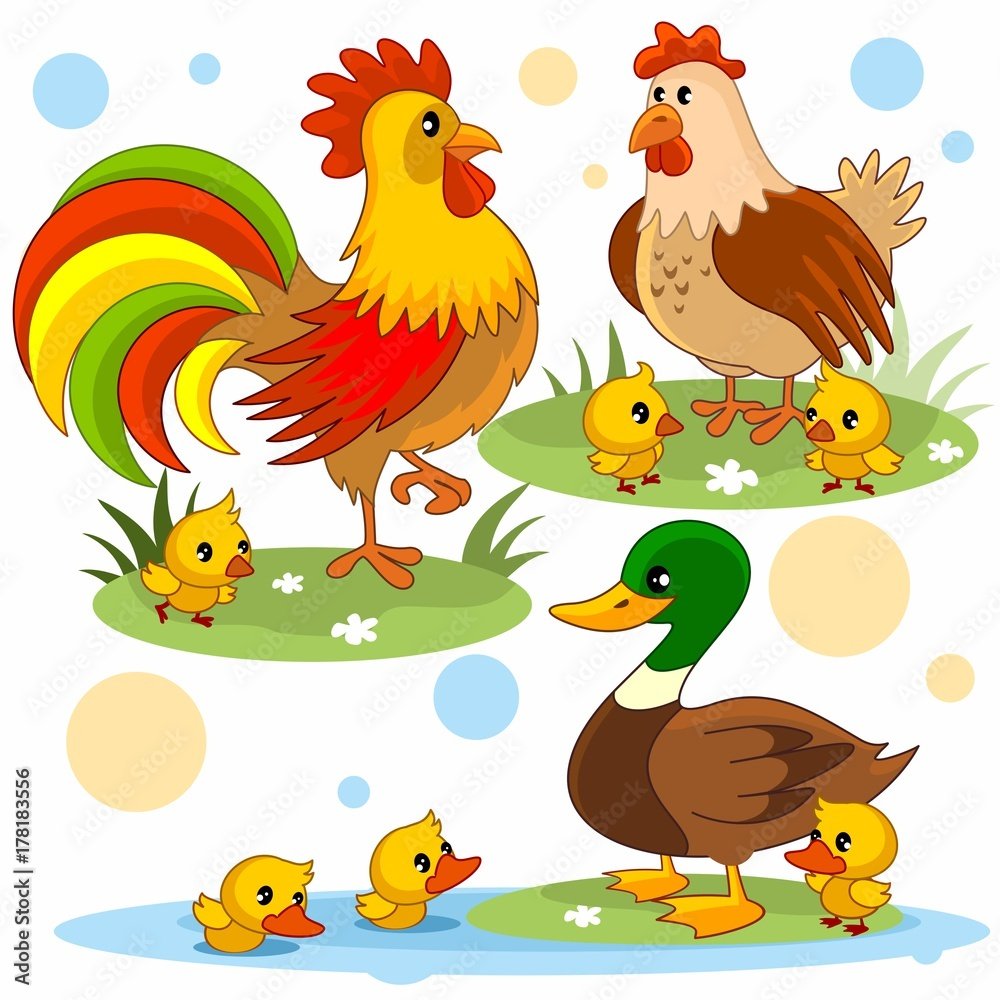 Курица и утка с цыплятами для детей