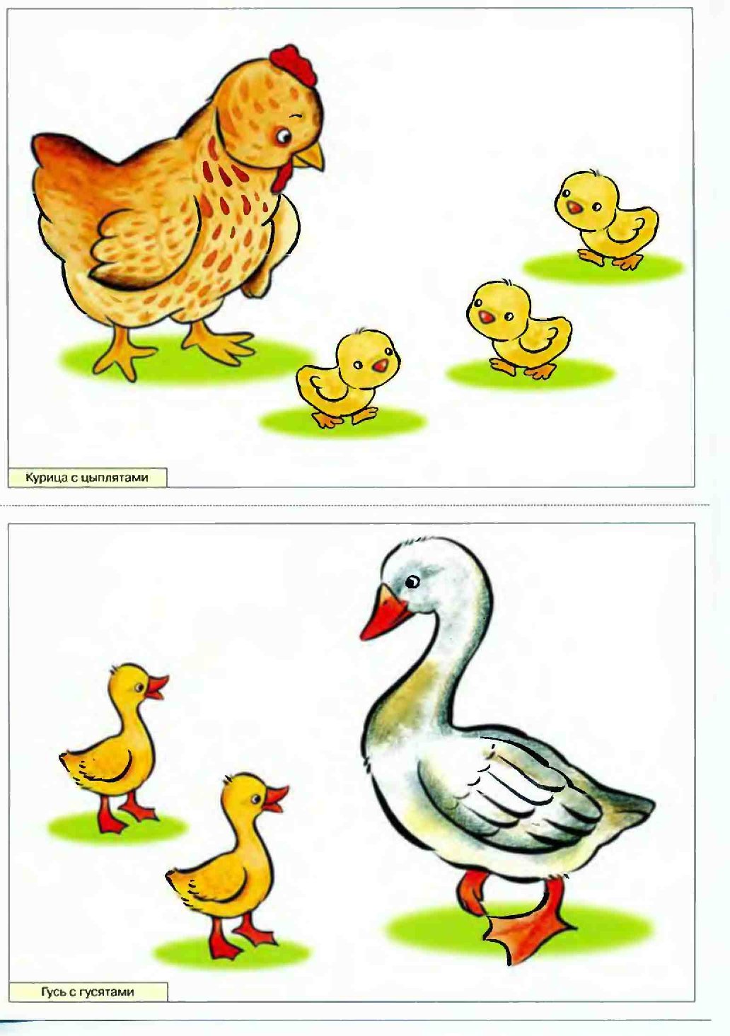 Гусь карточка для детей