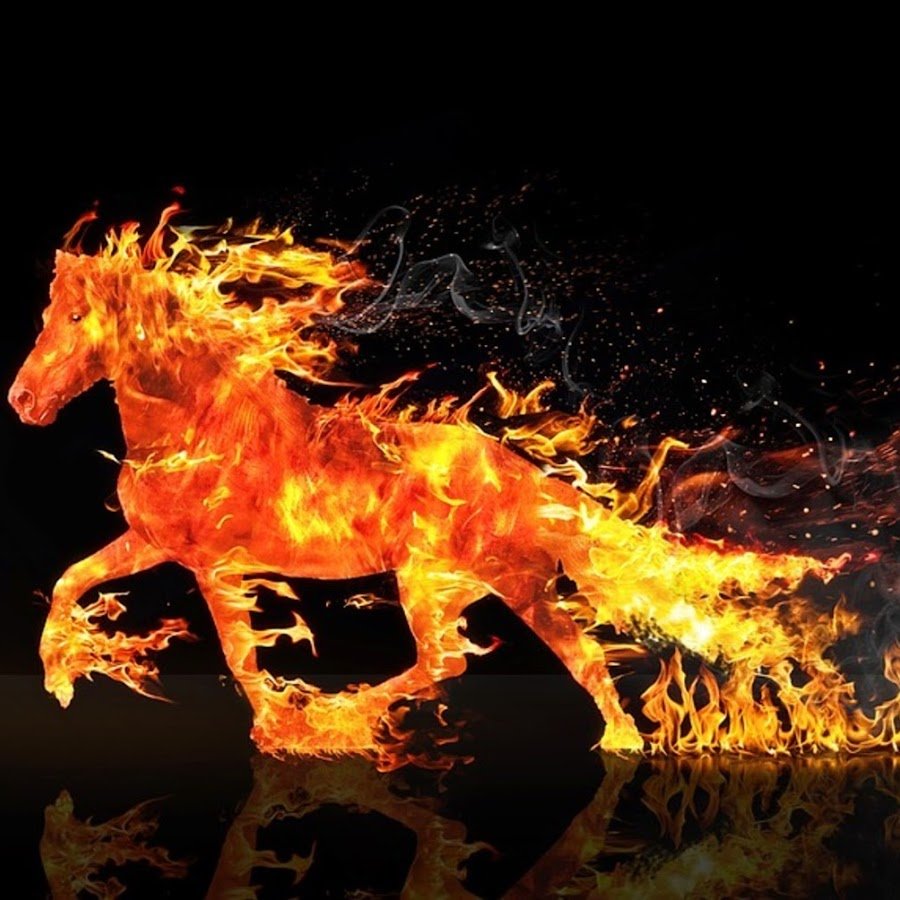 Огненная лошадь картинки