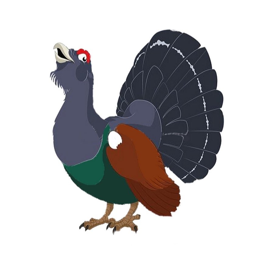 Глухарь мультяшный