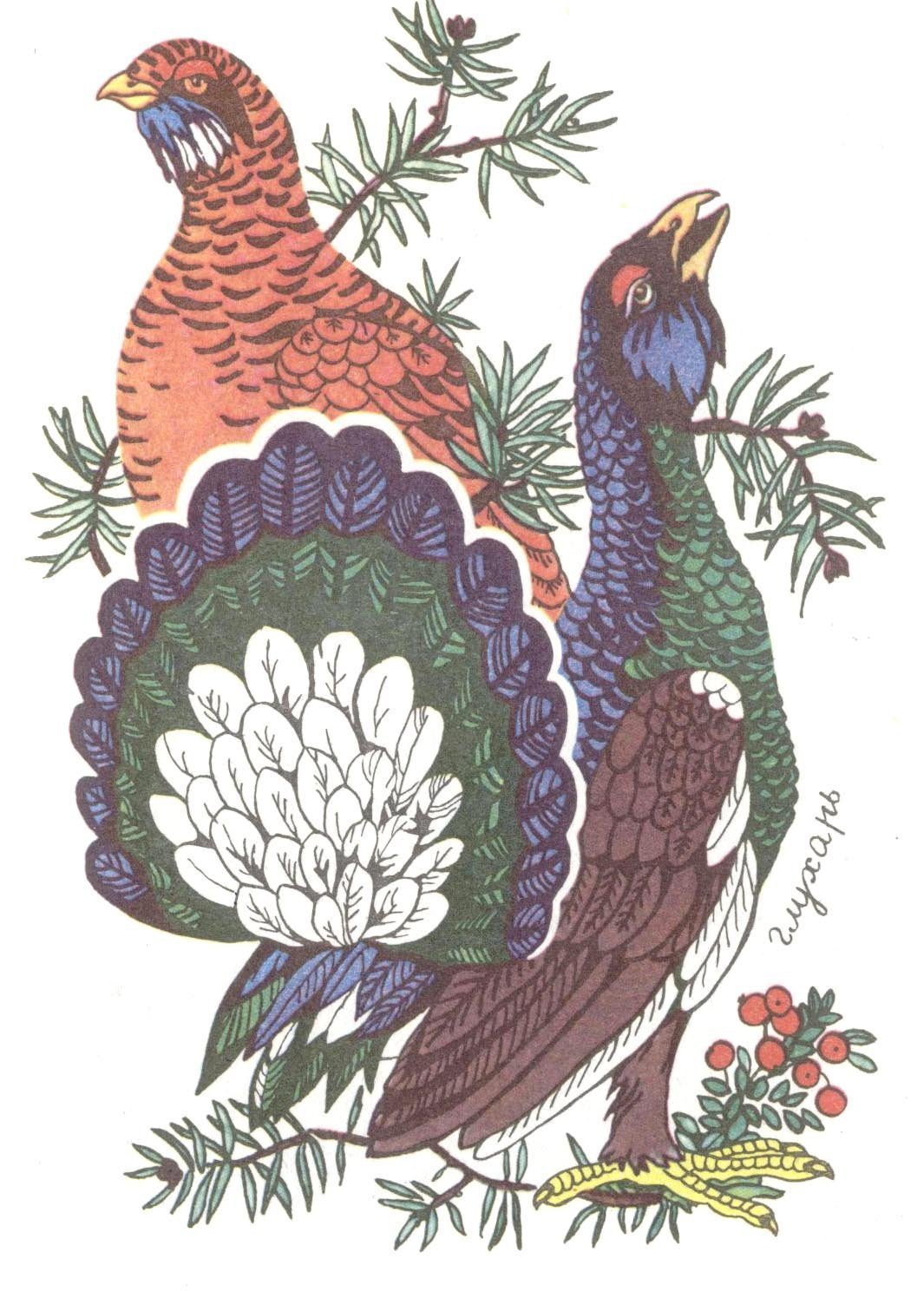 Изображение глухаря
