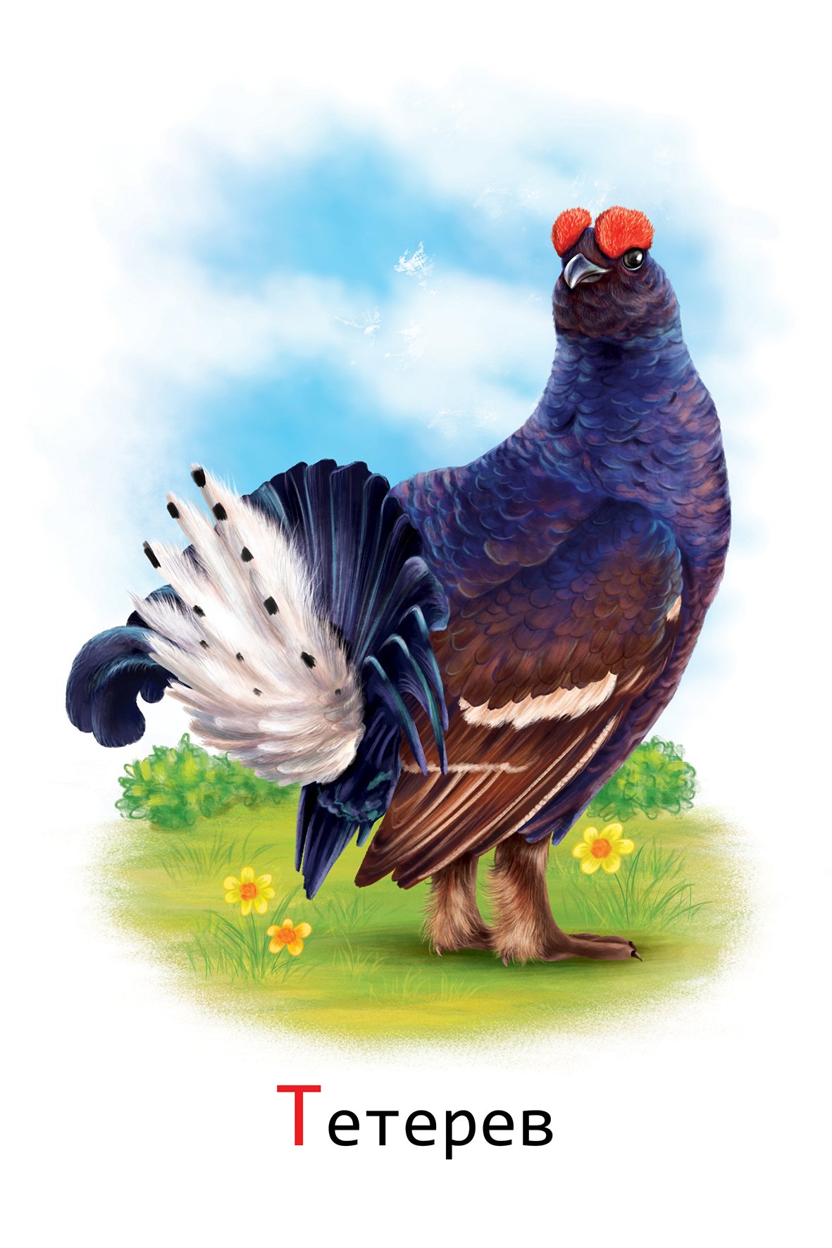 Тетерев для детей