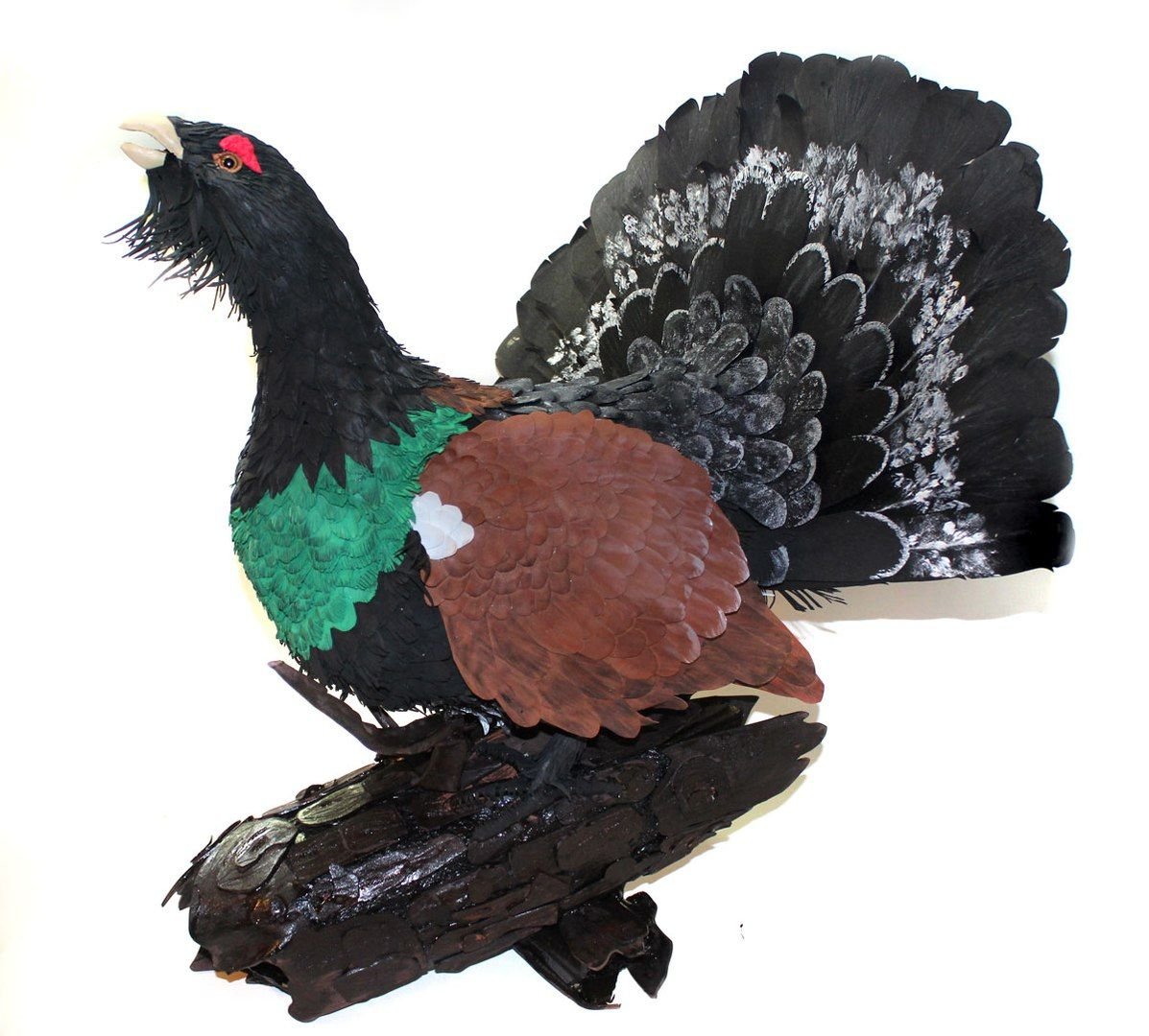 Глухарь птица