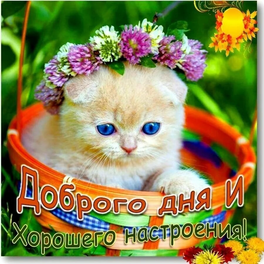 Приветик хорошего дня и настроения