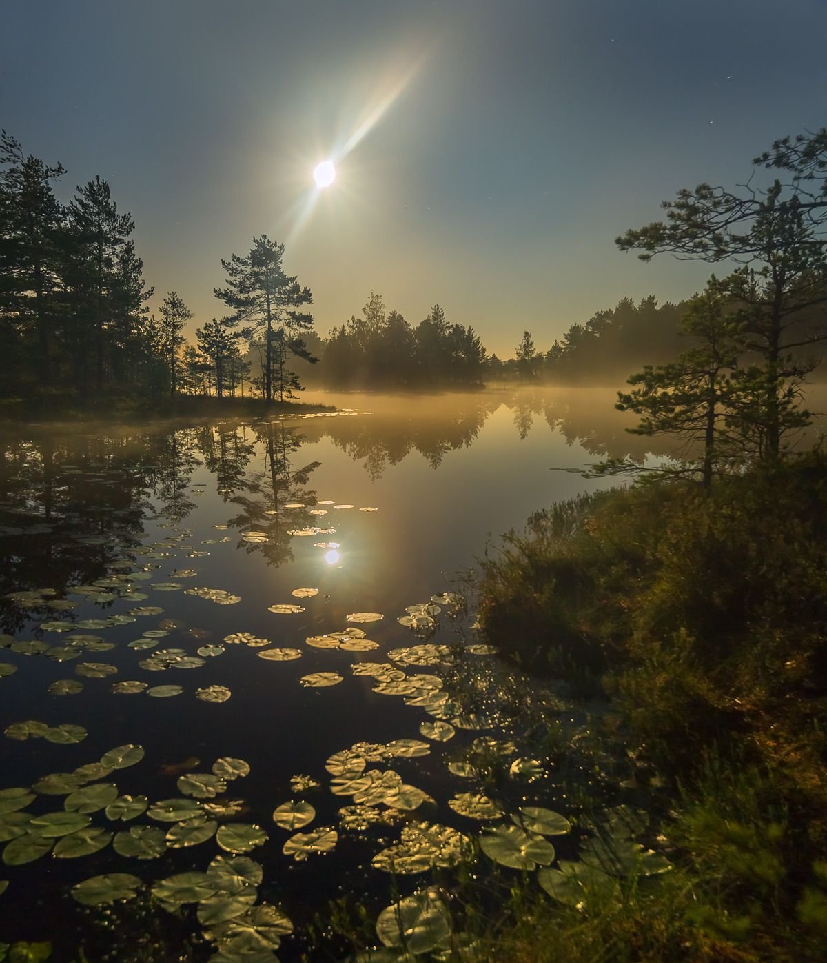 Летний вечер в деревне