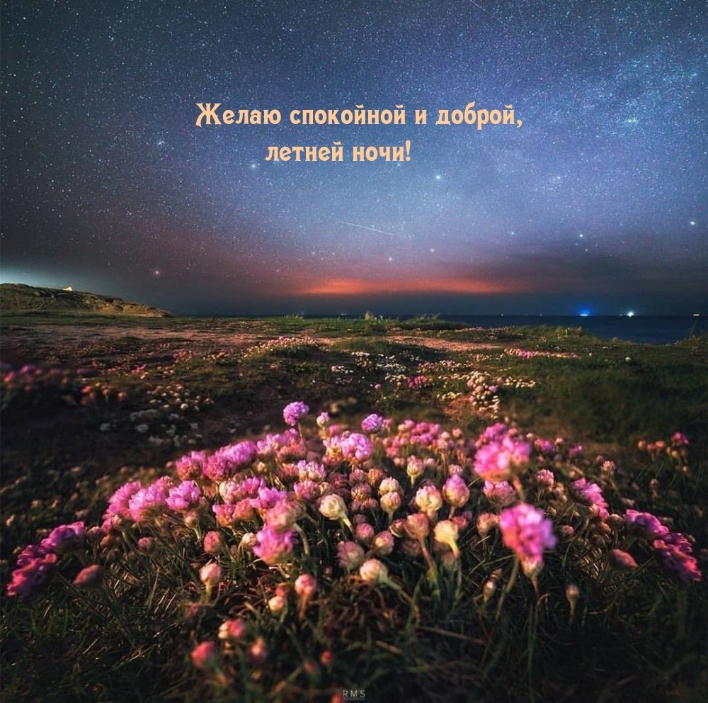 Ночной пейзаж