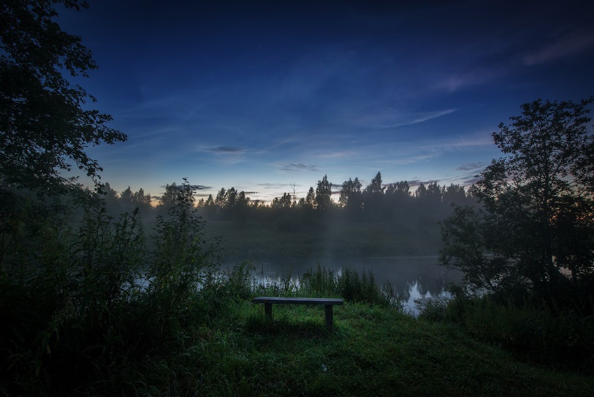 Луна в лесу