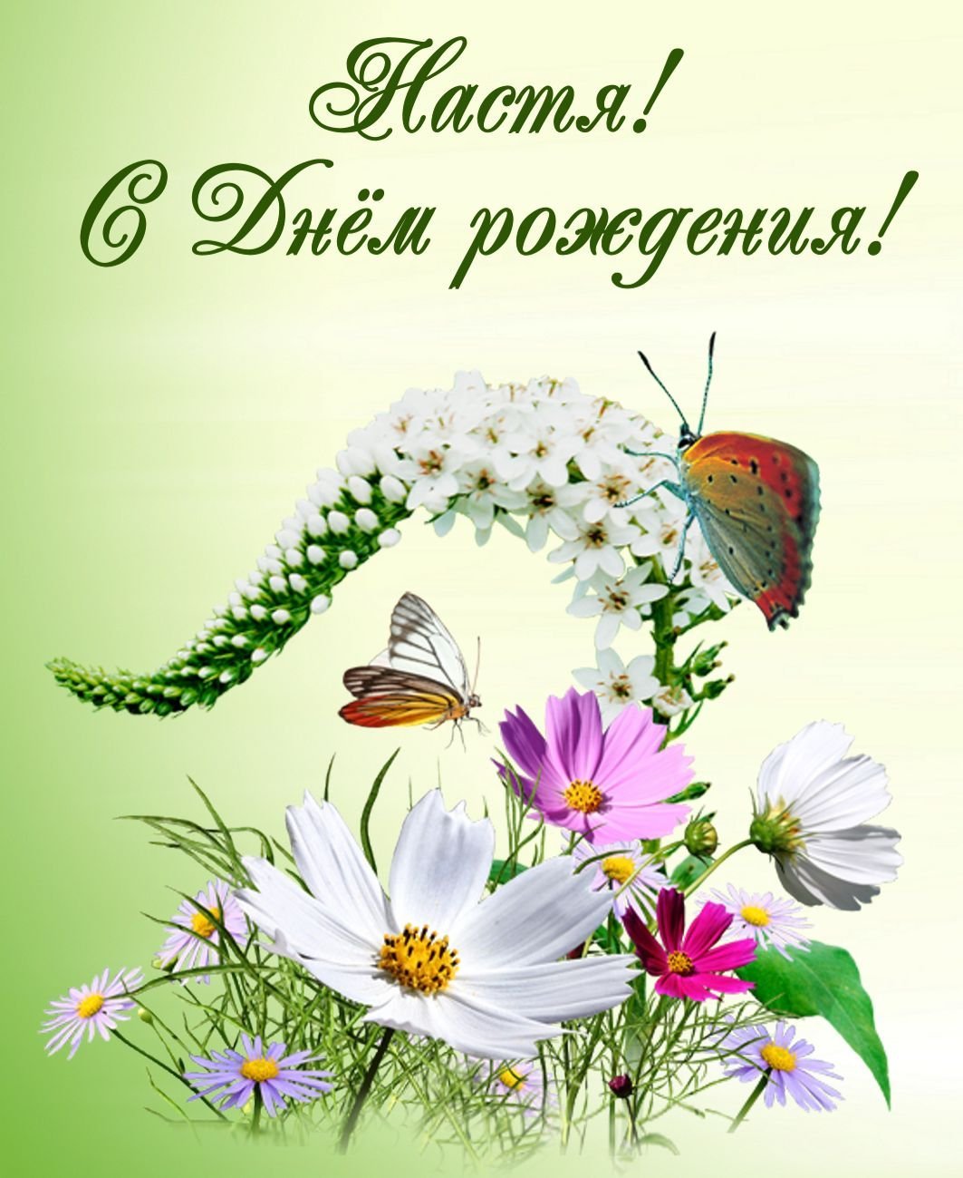 Поздравления с днём рождения Оле