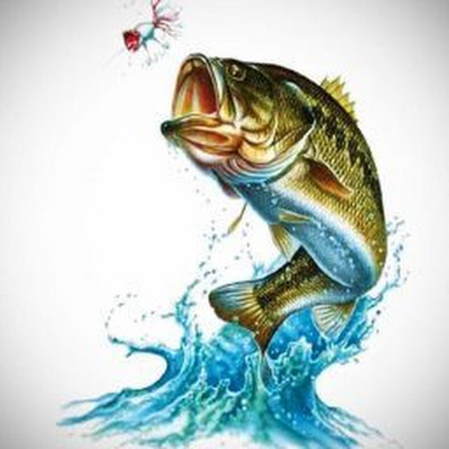 Рыба выпрыгивает из воды