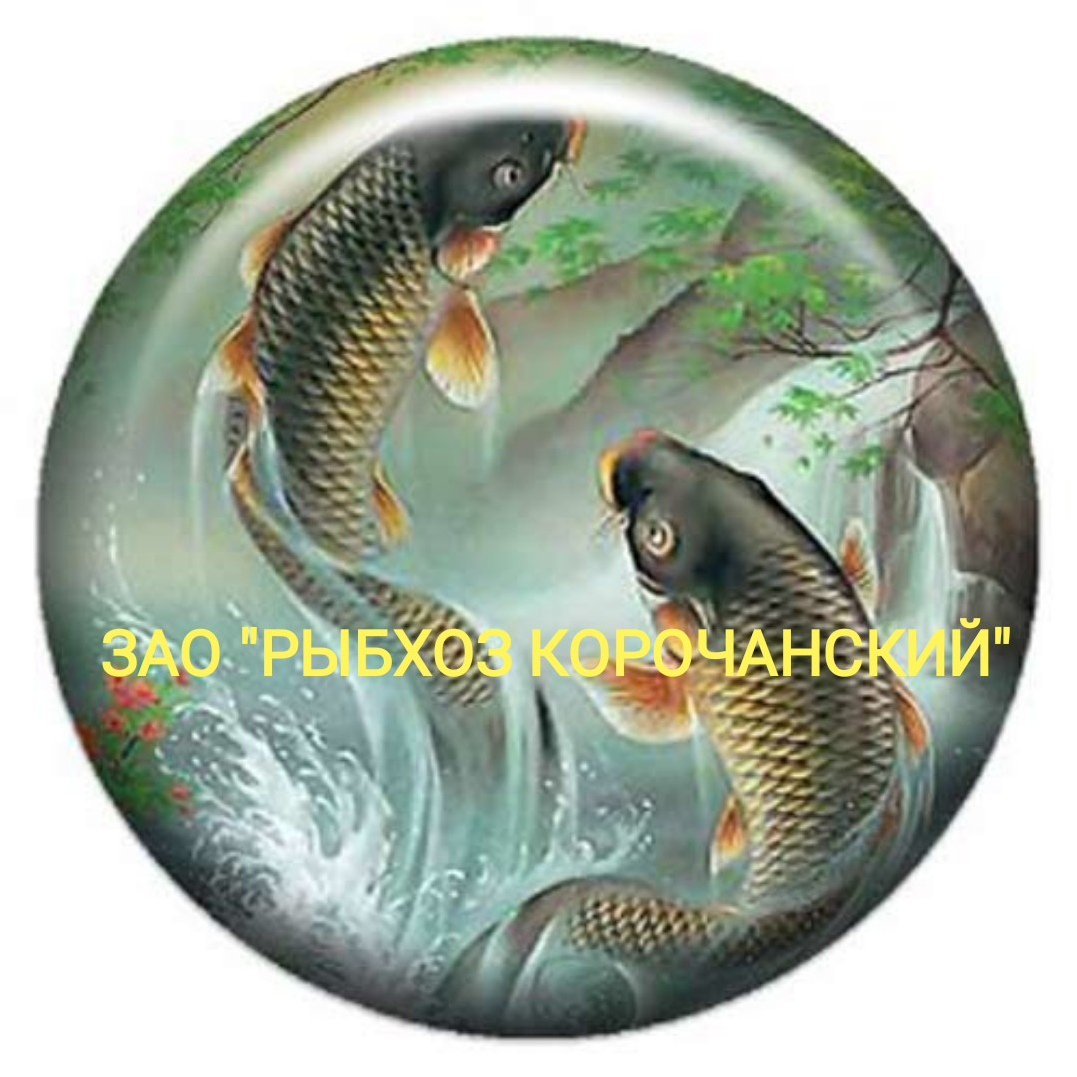 Рыбалка логотип круглый