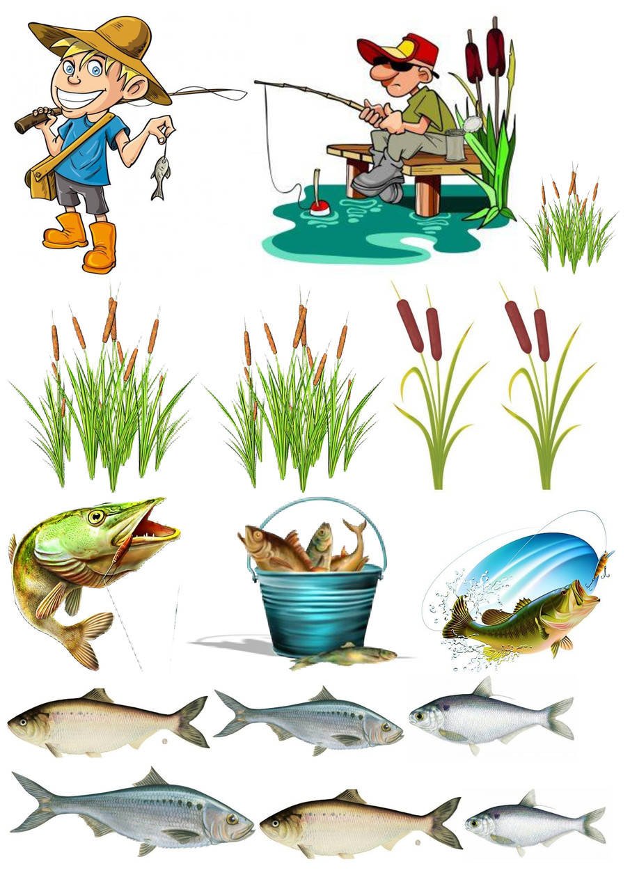 Карп символ