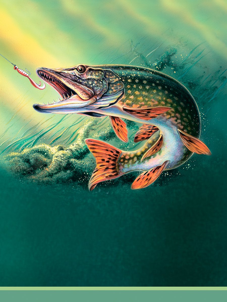 Рыбак картинка для печати