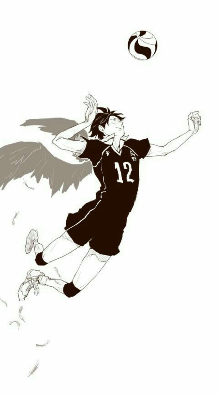 Волейбол команда Карасуно