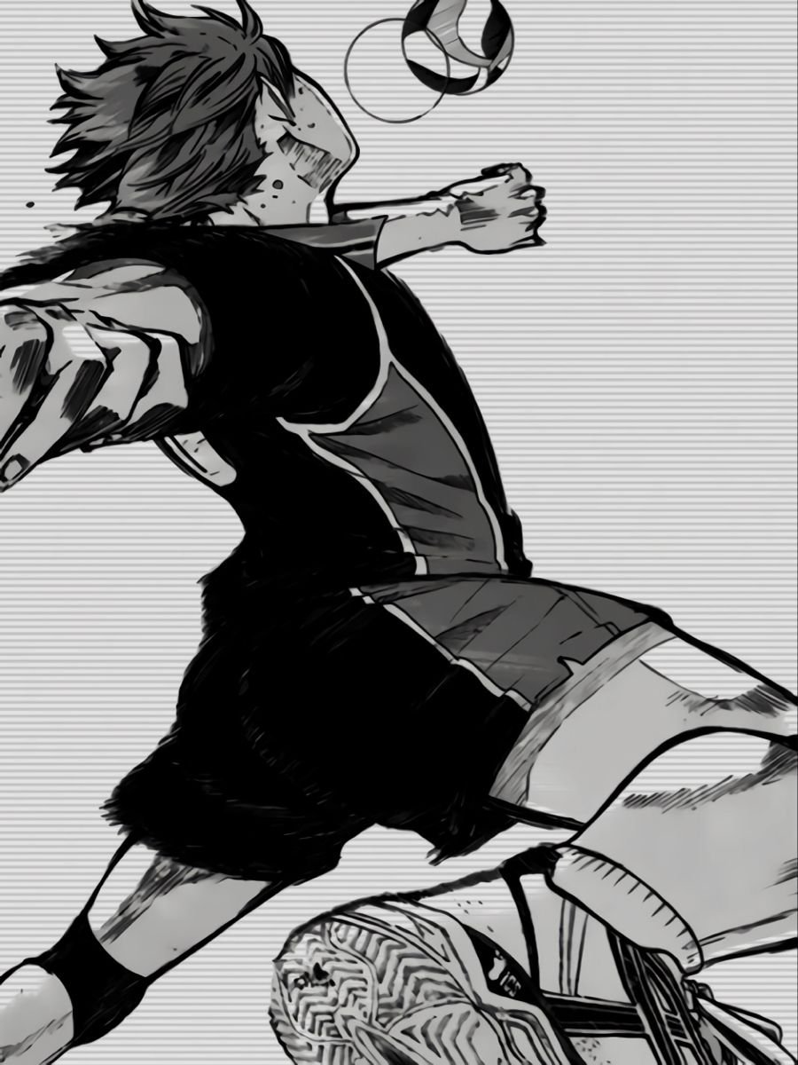 Хината волейбол Манга