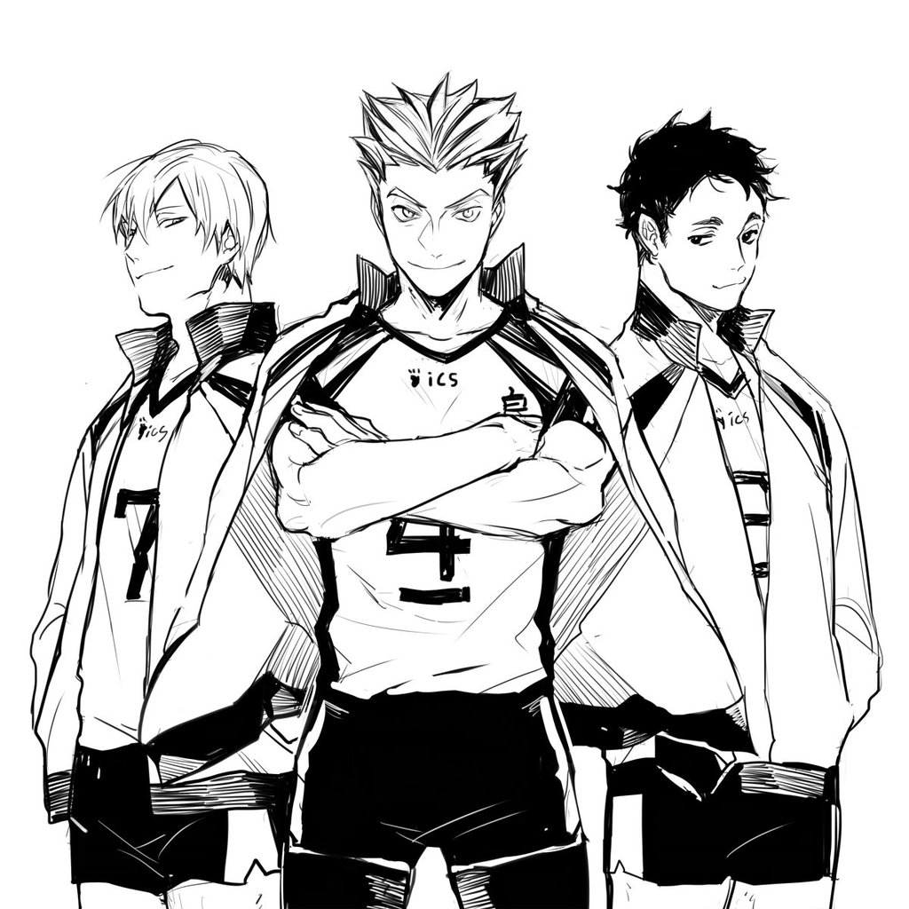 Волейбол команда Карасуно Манга