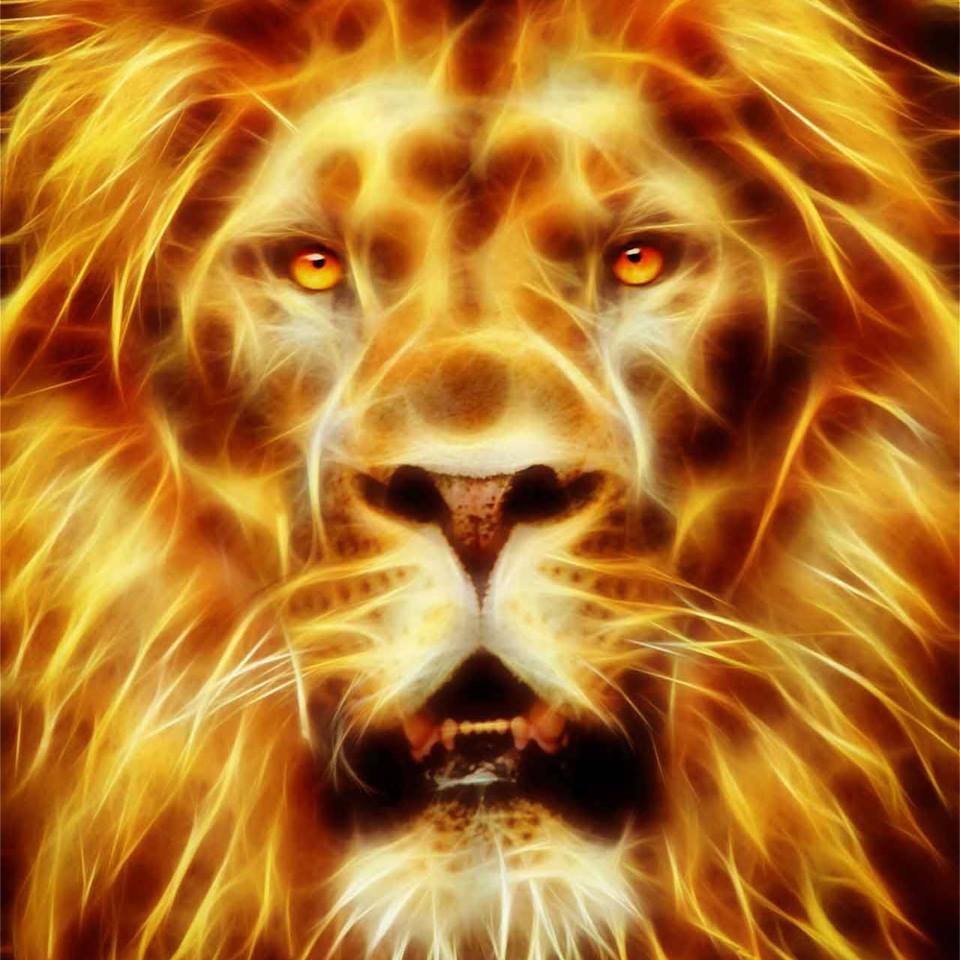 Огненный Лев