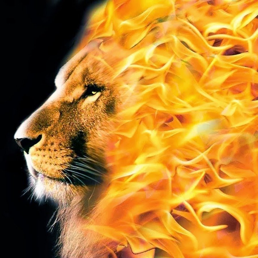 Неоновый леопард