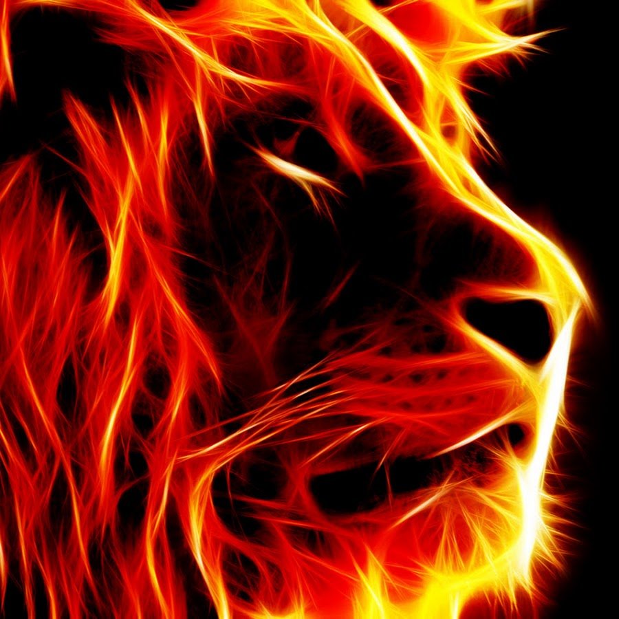 Огненный лев картинки