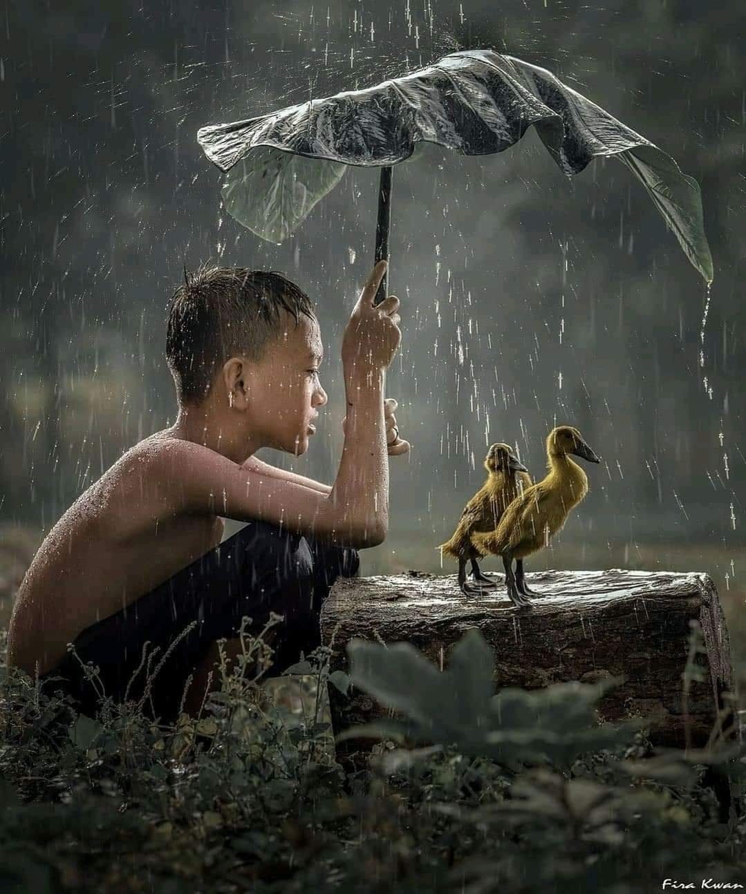 Кевин Даниэль картины