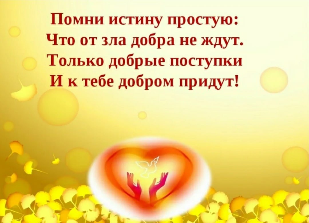 Профессиональные фотографии