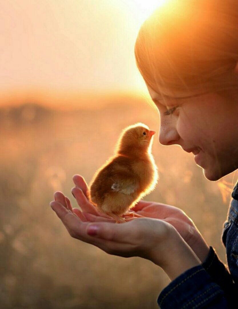 Мир доброты картинки