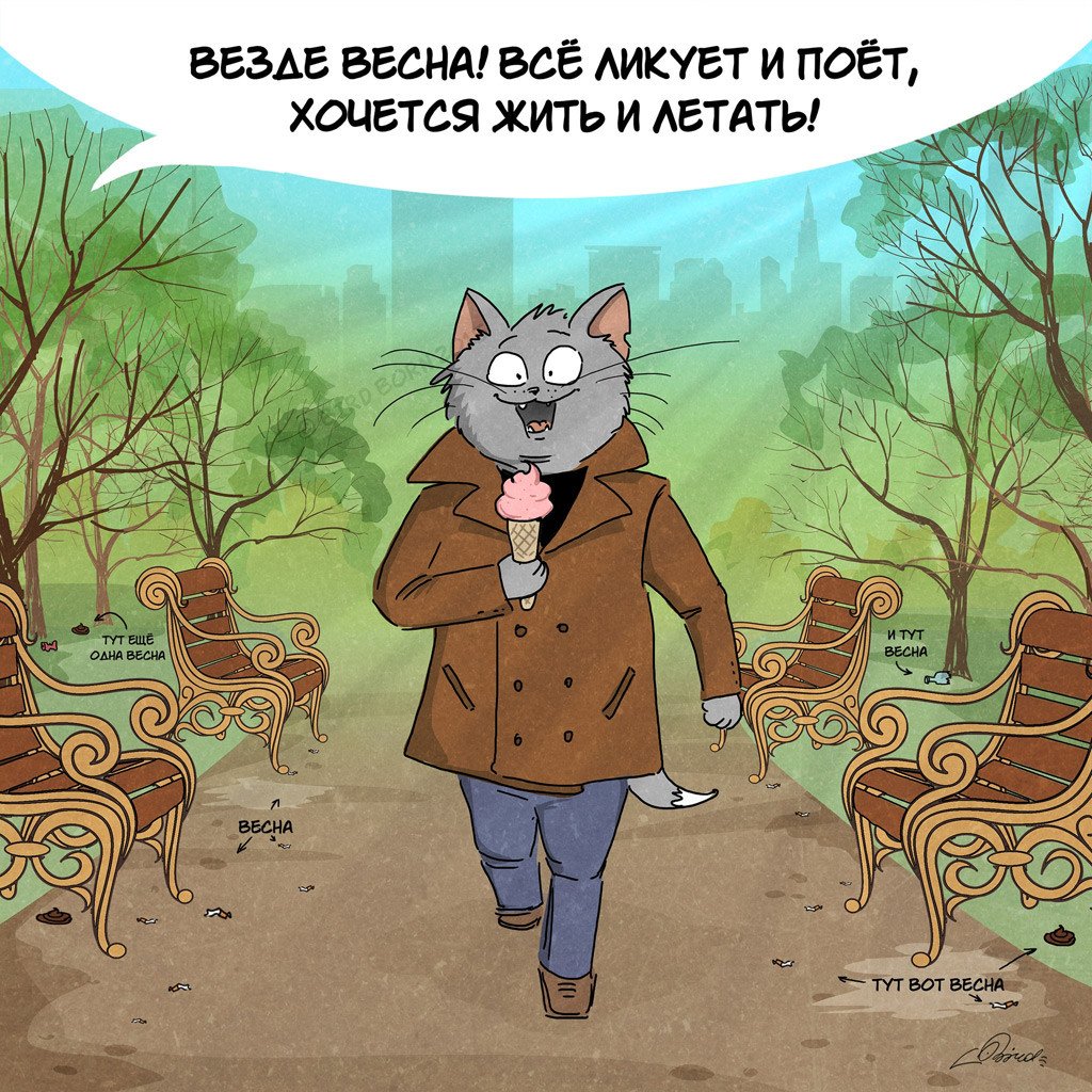 Коты в снегу