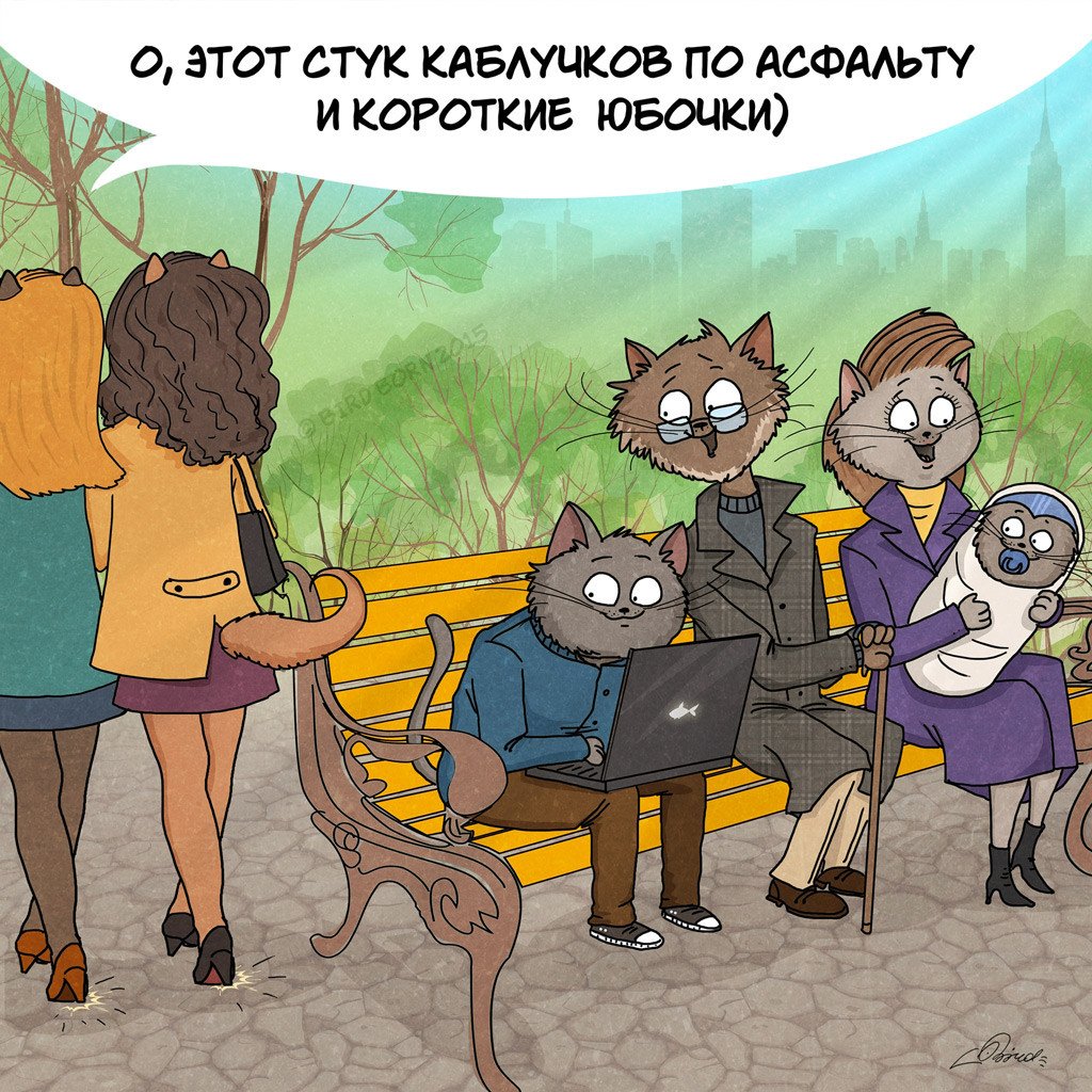 Котик в шарфике зимой