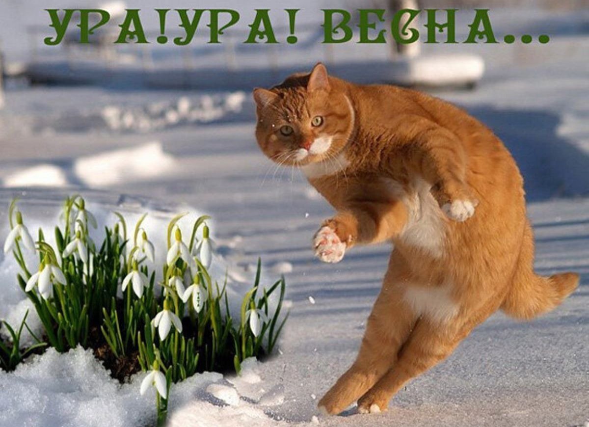 Открытки с первым днем весны