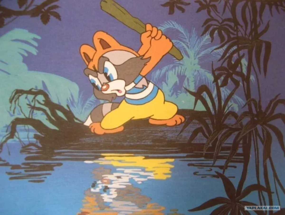 Крошка енот