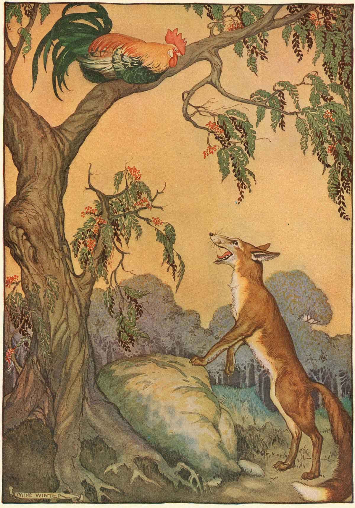 Карл ЮТЦ птичий двор