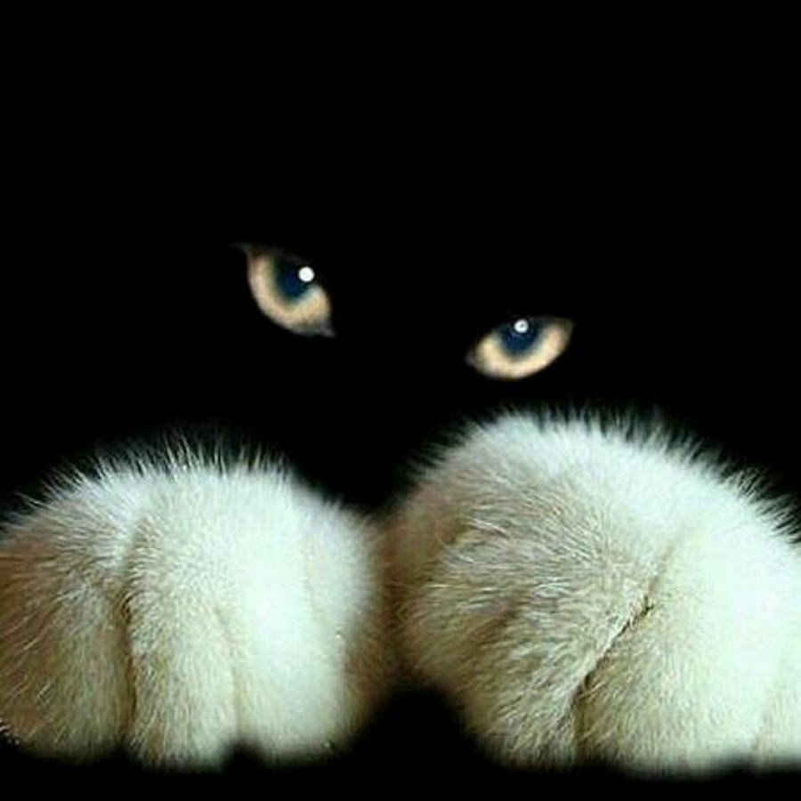 Скучаю без тебя