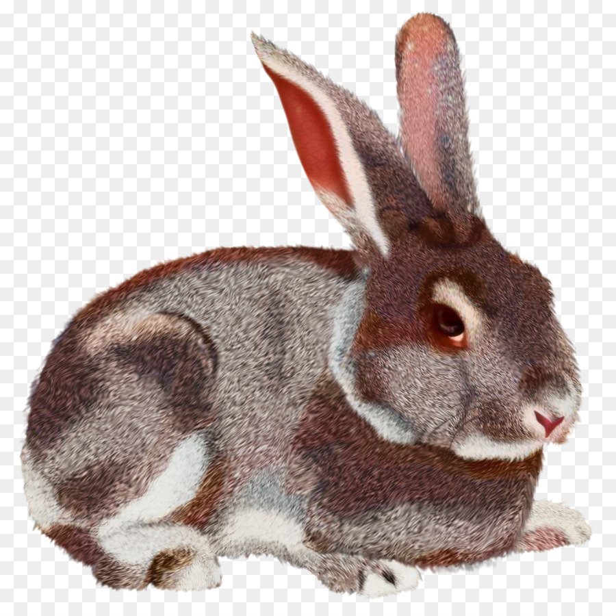 Заяц на прозрачном фоне