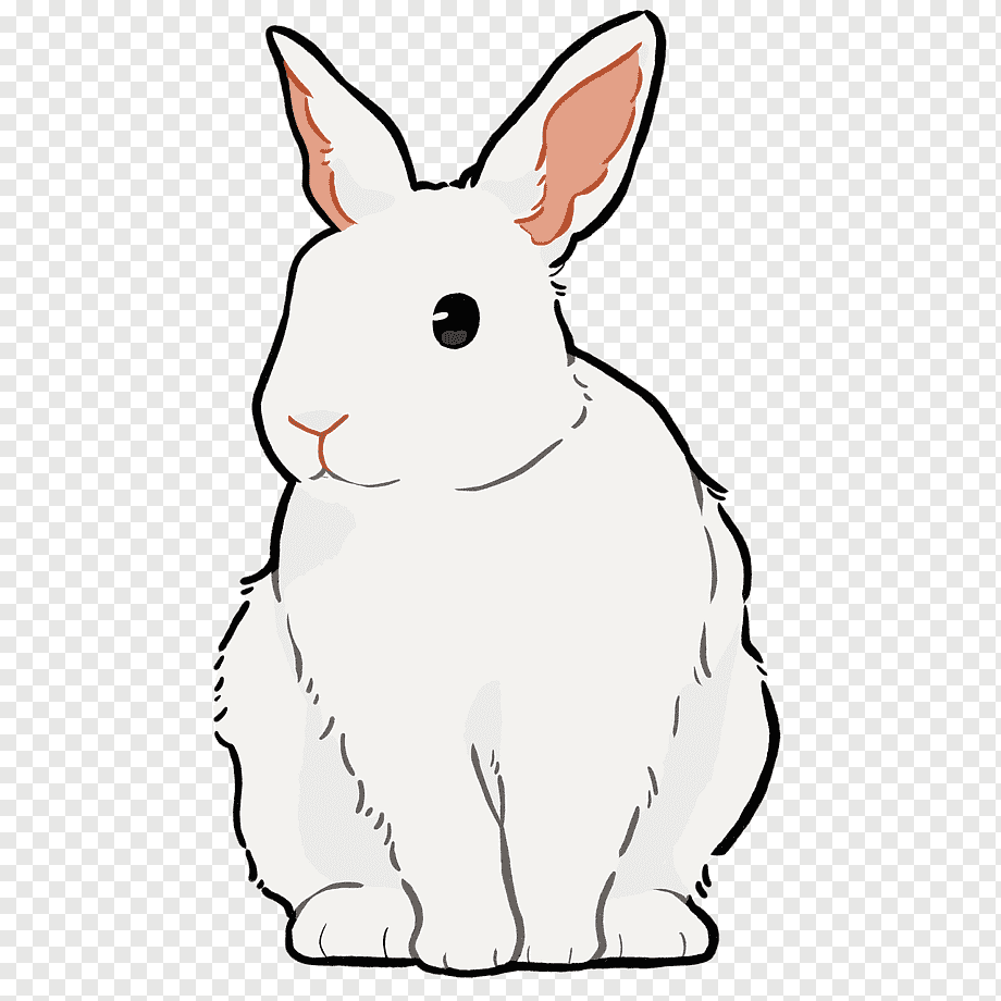 Заяц картинка