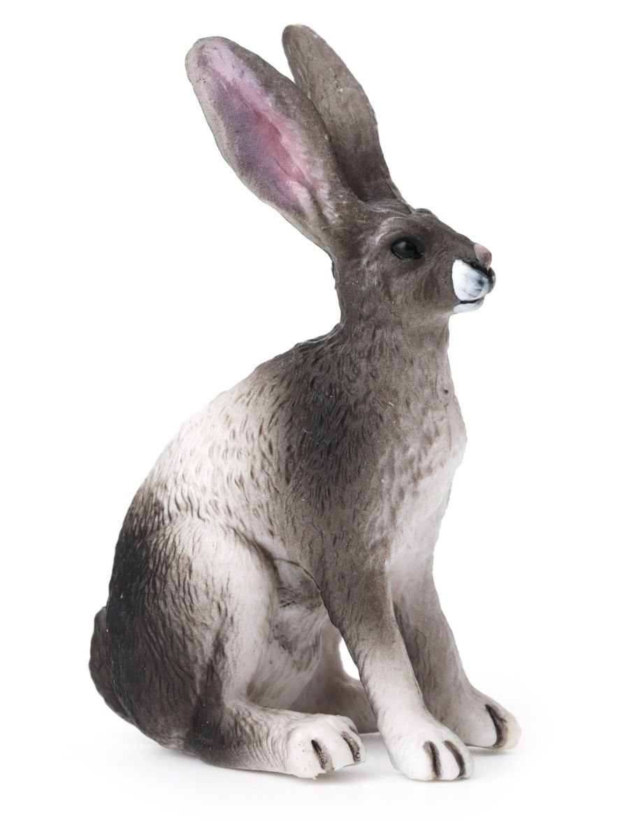 Картун рэббит