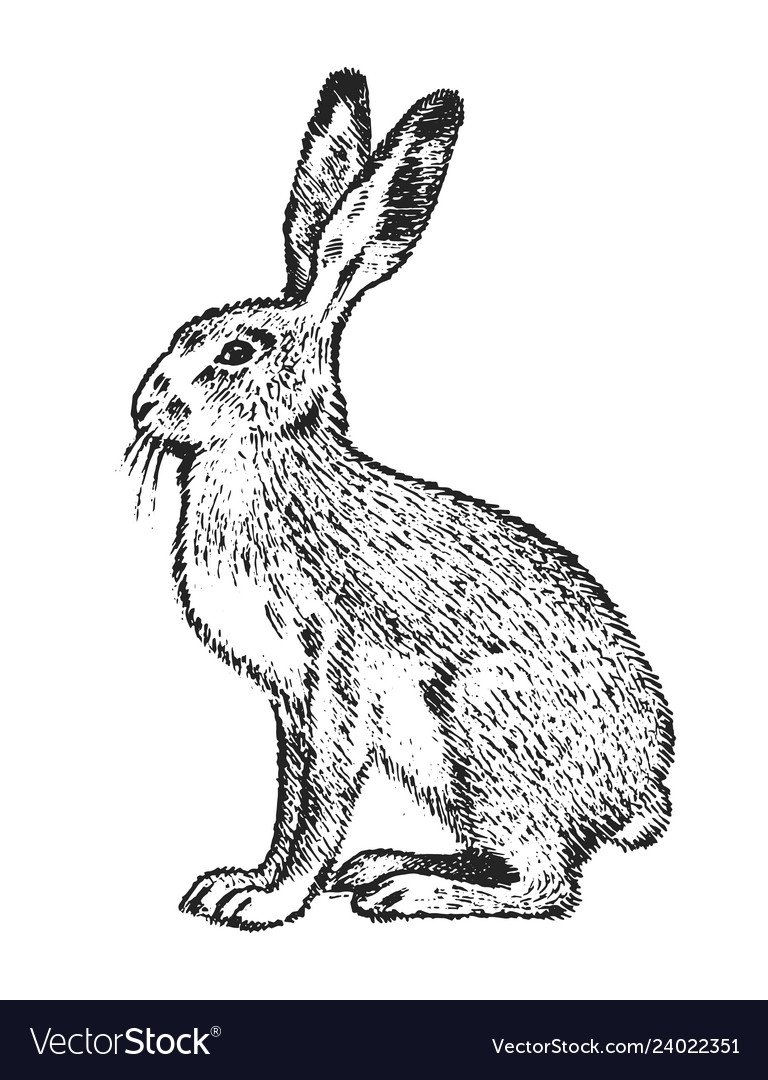 Зайчик акварель