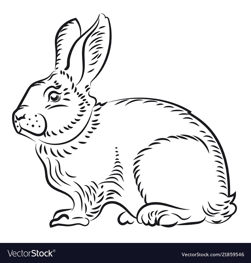 Милые мультяшные зайки