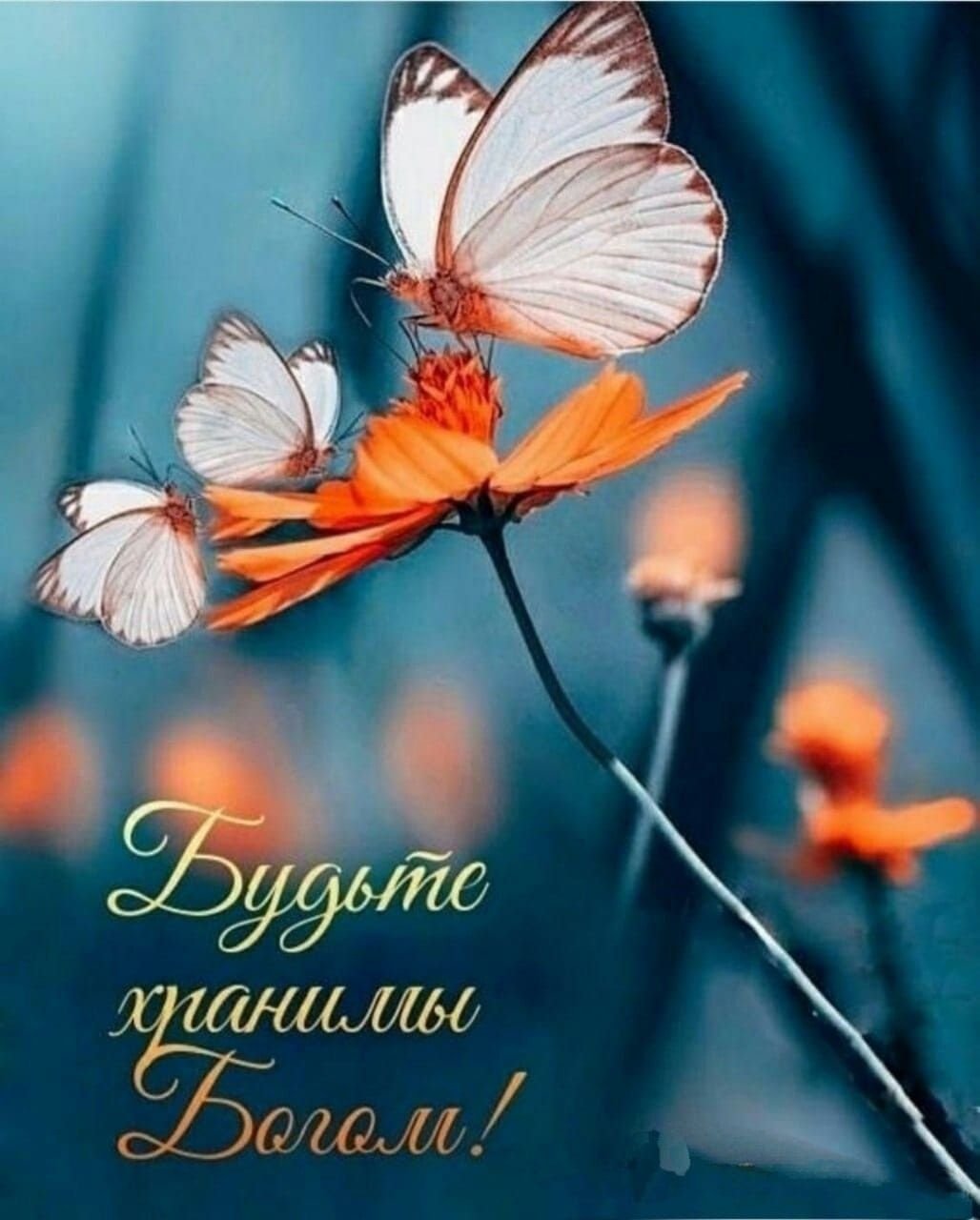 Доброе утро Божьих благословений