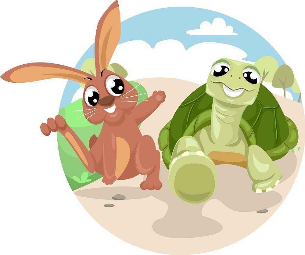 Заяц и черепаха аниме