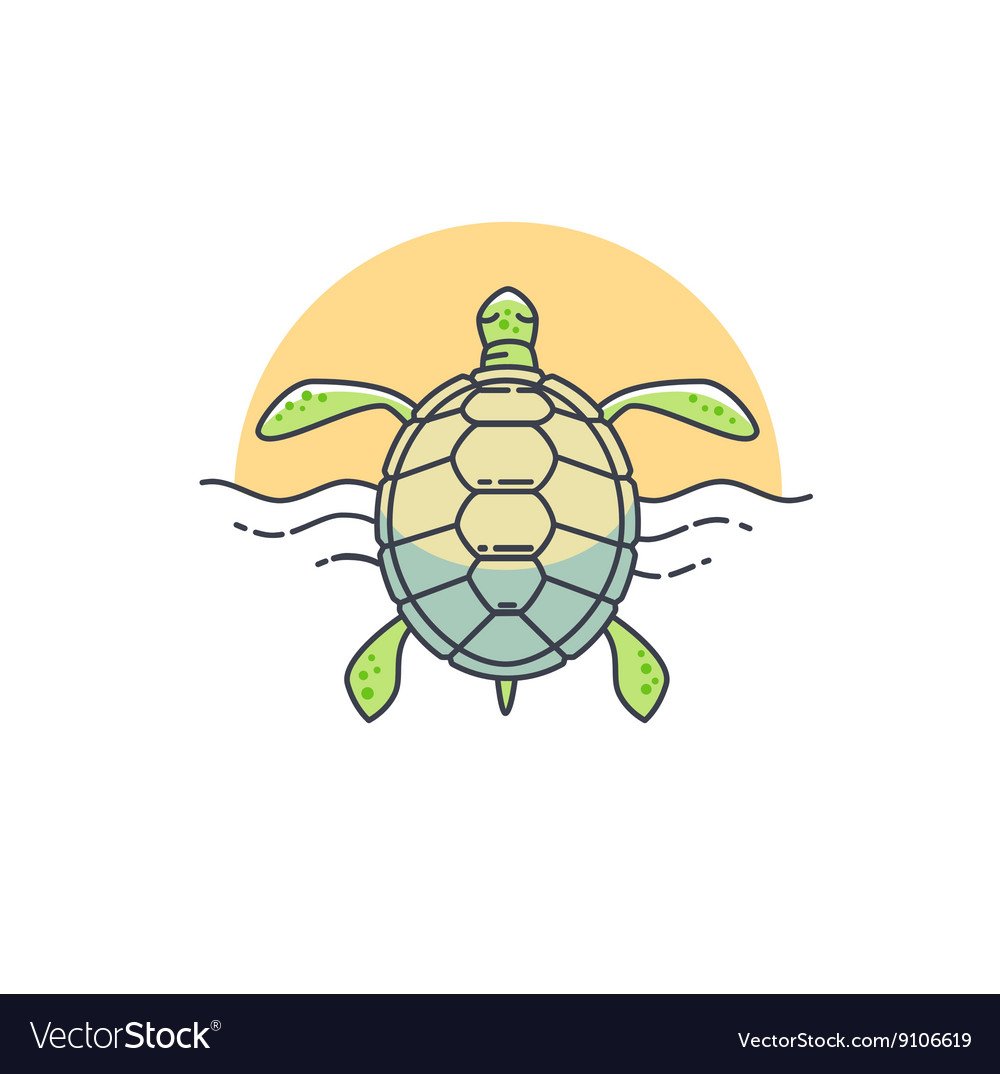 Заяц и черепаха Ингушская народная сказка