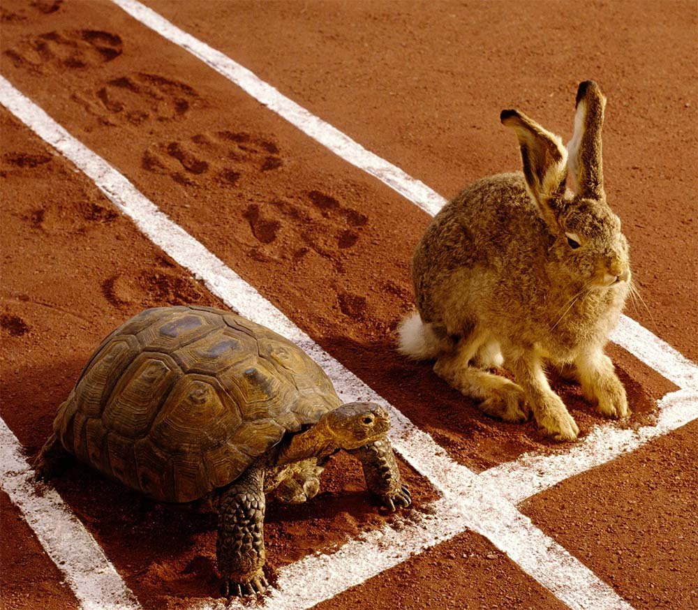 Мульфт черубешек и Кролл