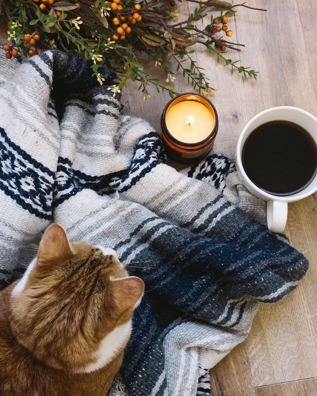 Плед и горячий чай