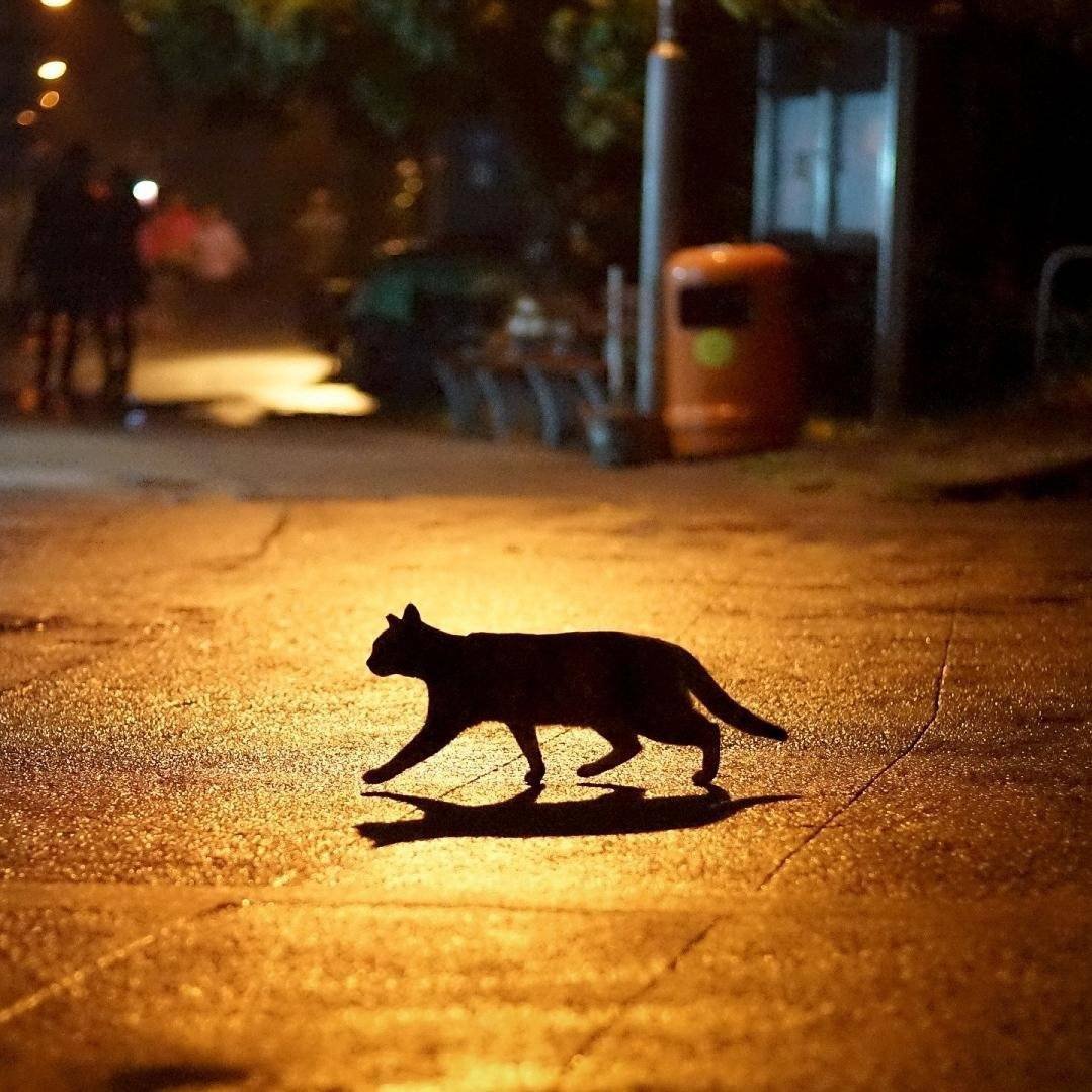 Обряд на удачу