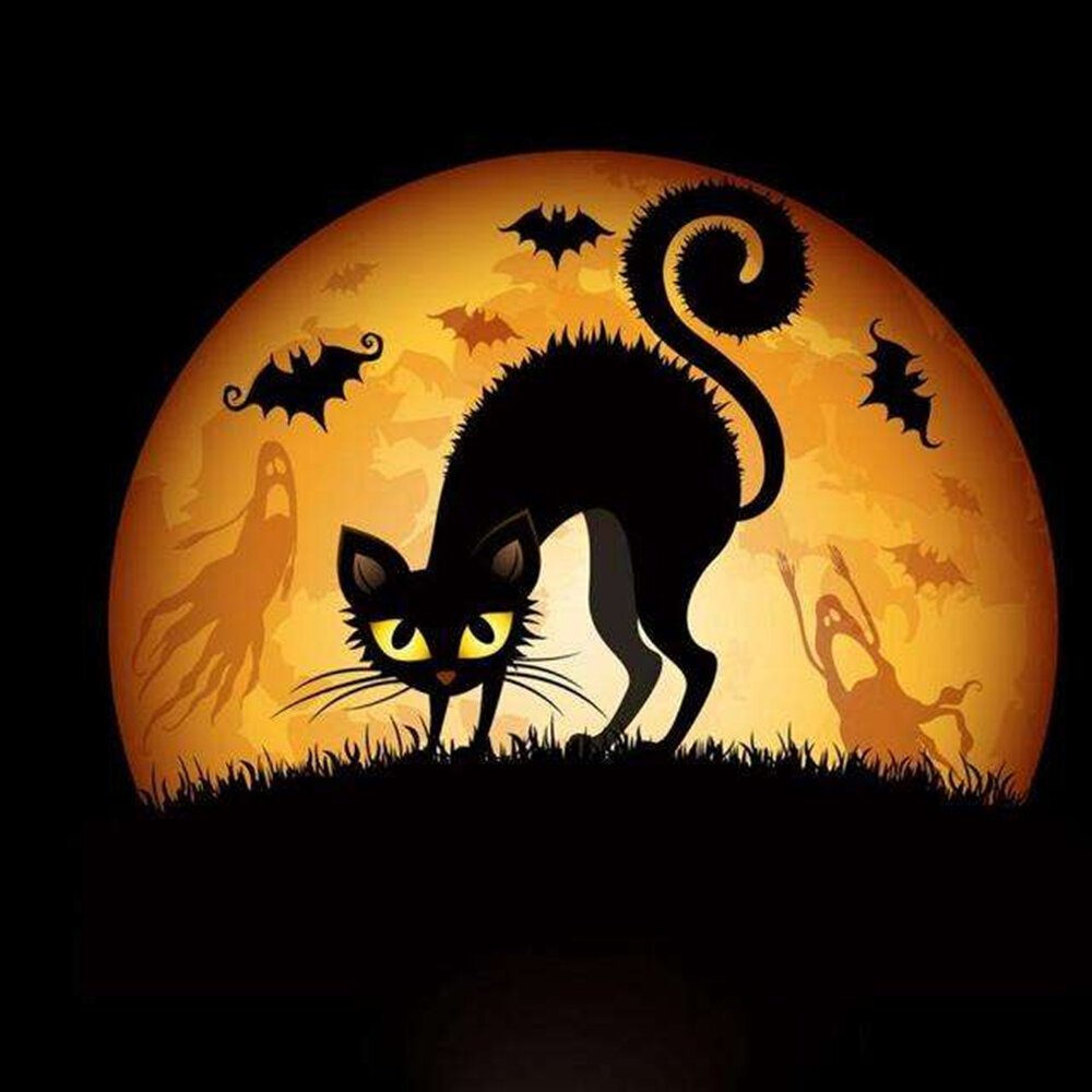 Черная кошка перебегает дорогу