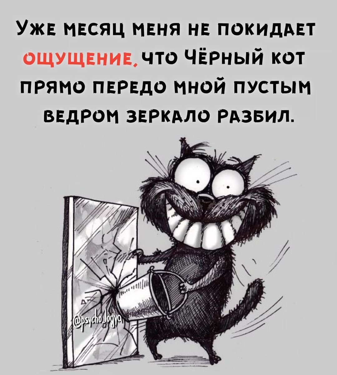 Черный кот Хэллоуин