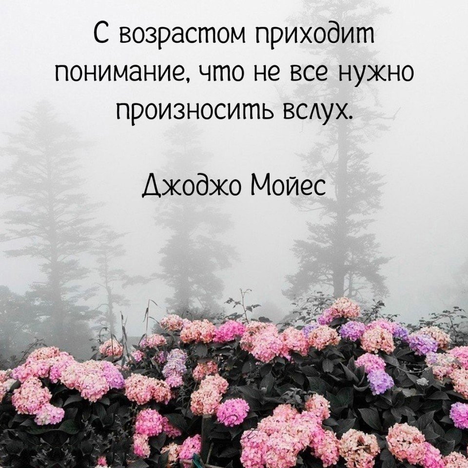 Красивые афоризмы