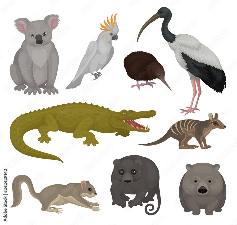 Животные Австралии надпись