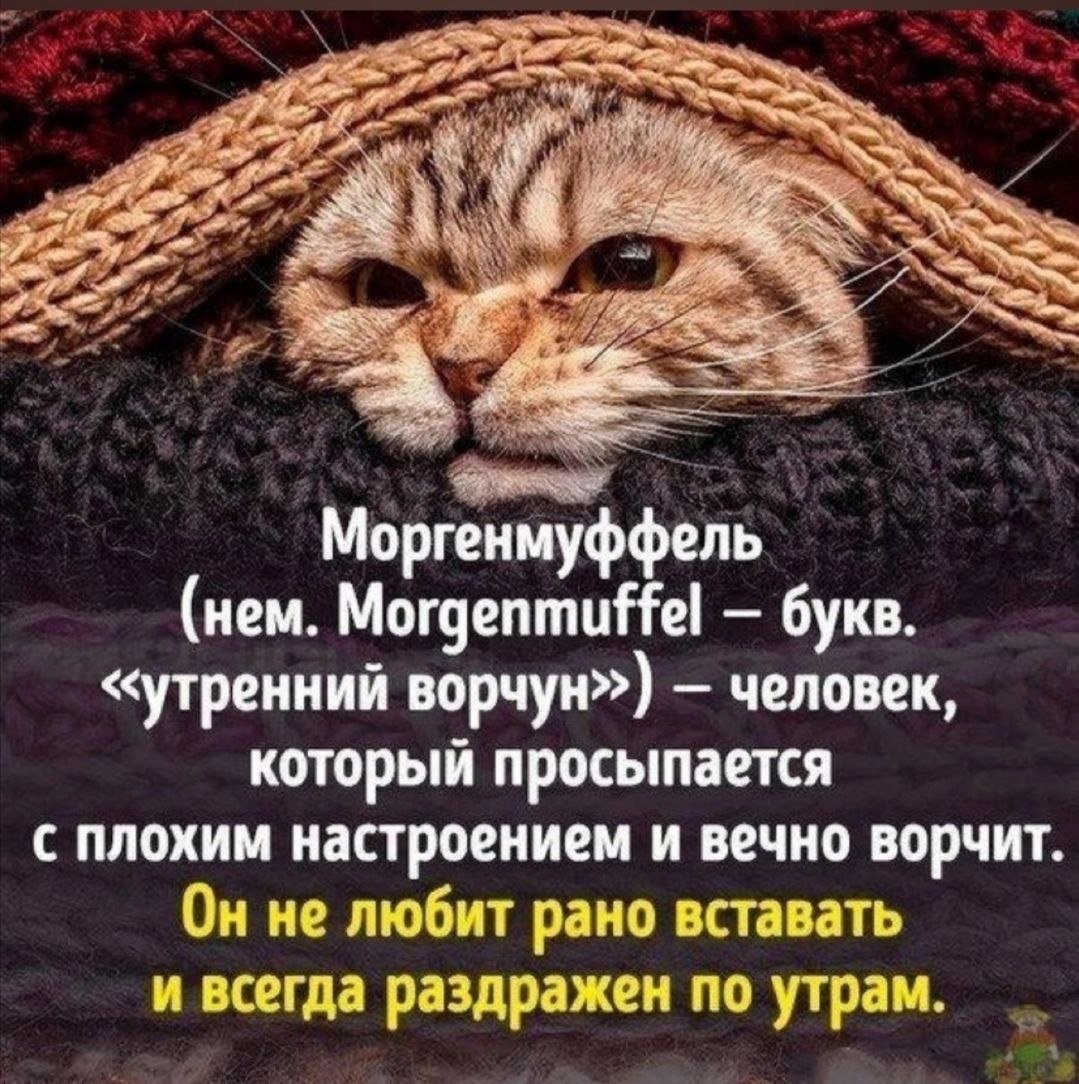 Человек который просыпается с плохим настроением